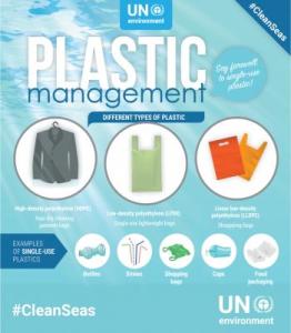 Infographic Plastic Management 11